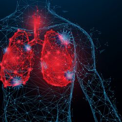 Outline of a human torso in blue with lungs in red and SARS-CoV-2 particles outlined in same blue as body outline