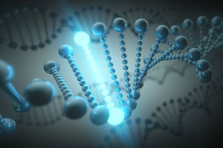 Artificial gene