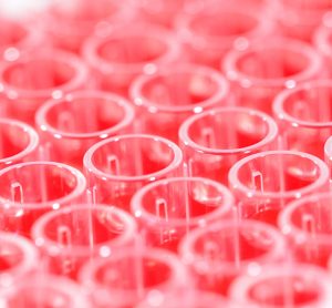 Assays