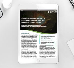 Assess transduction efficiency of CFP-tagged nuclear protein with automated cellular imaging