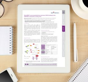 Application note: NanoBRET™ assay quantitatively evaluates VEGF binding to the VEGFR2 in real-time in living cells