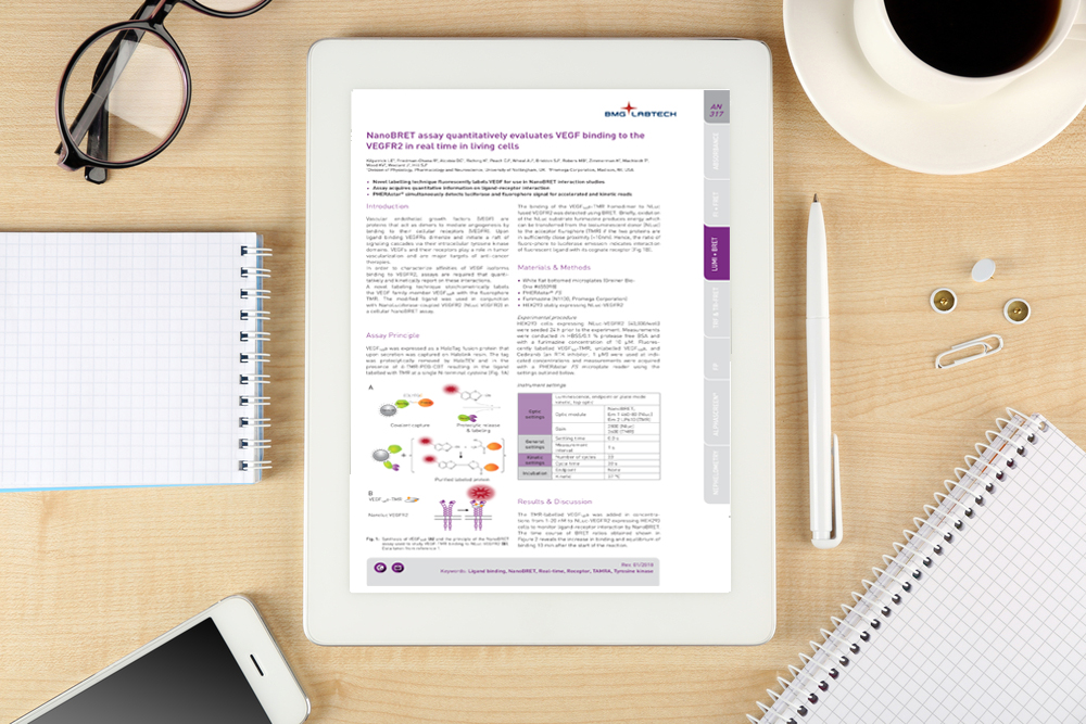 Application note: NanoBRET™ assay quantitatively evaluates VEGF binding to the VEGFR2 in real-time in living cells