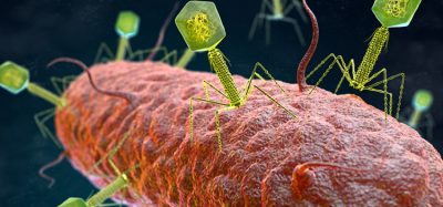 Bacteriophage