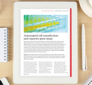 Automated cell transfection and reporter gene assay