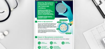 Detecting Mycoplasma Contamination in Your Cell Culture with Confidence