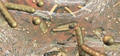 Bacteria and biofilms