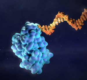 Cancer biomarkers