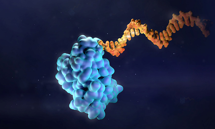 Cancer biomarkers