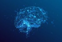 In vivo brain imaging