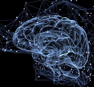 Brain and proteomics
