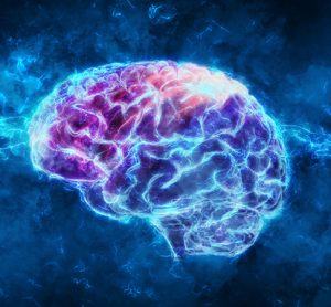 Brain and label-free imaging