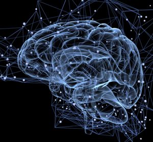 Fluorescence imaging for brain