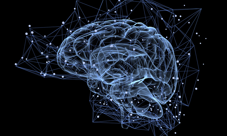 Fluorescence imaging for brain