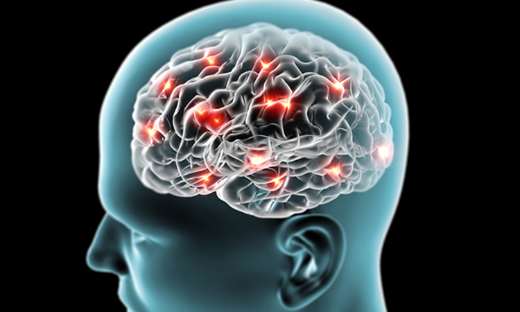 Parkinson's in brain
