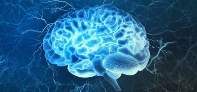 brain outlined in glowing blue
