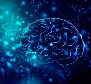 Oestrogen could protect the brain