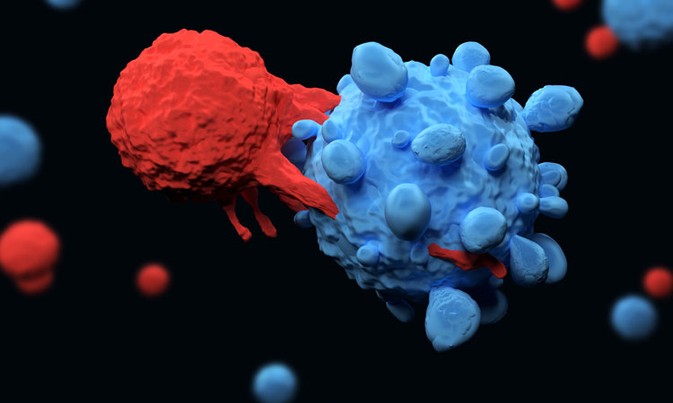 CAR T-cell therapies image