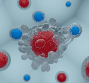 CAR T cells