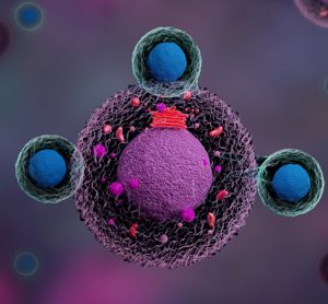 CAR T cells