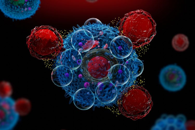 Chimeric Antigen Receptor T cells in red attacking cancer cells in blue