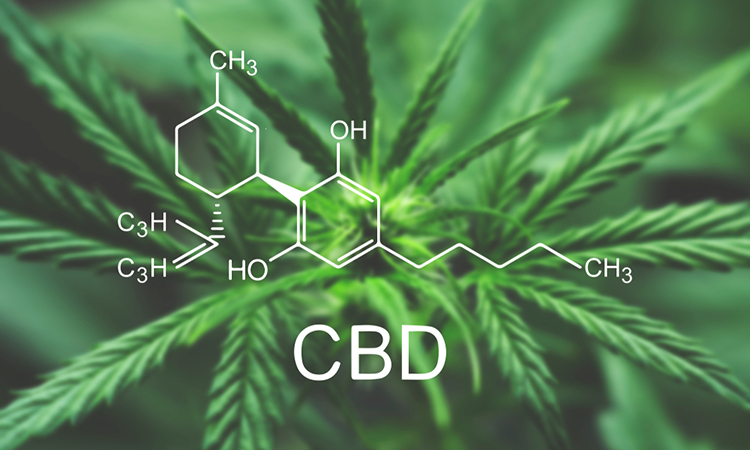 Cannabidiol (CBD)