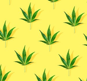 CBD