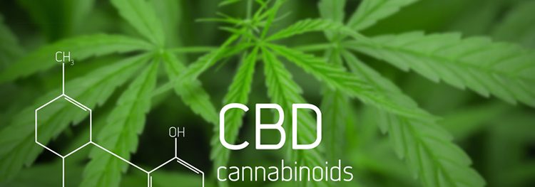 CBD and COVID-19