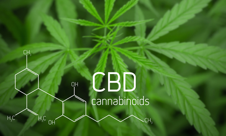 CBD and COVID-19