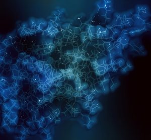 CD47 protein