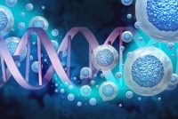 Illustration of DNA strands and stem cells representing genetic research and cellular biology.