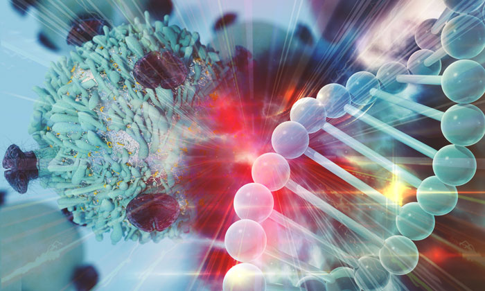 CLL-T-cell-therapy