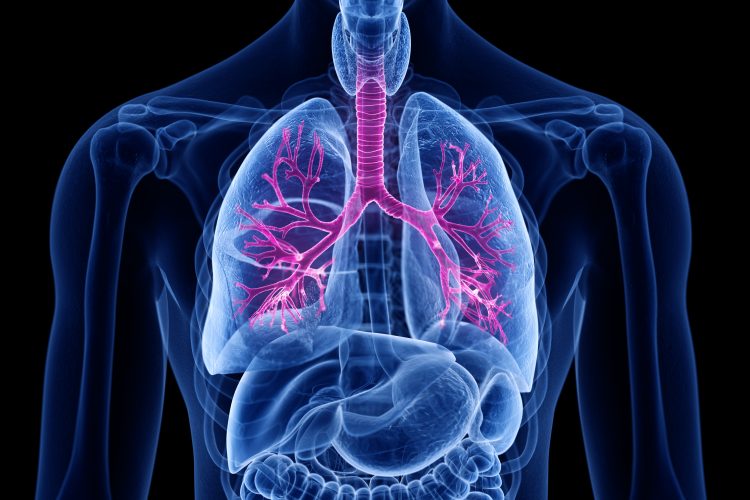 Human torso outlined in glowing blue with lungs visible and major airways outlined in pink