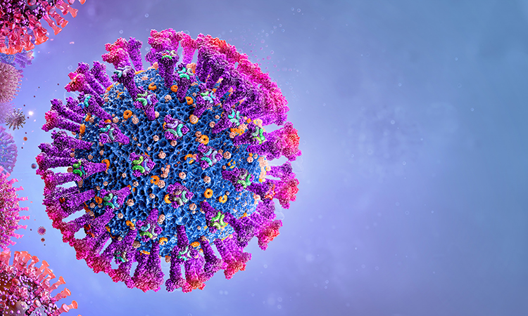 SARS-CoV-2, coronavirus and assays