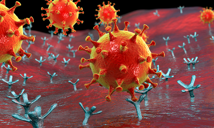 COVID-19 and antibodies