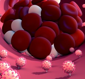 cartoon of a blood vessel with coronavirus particles attached to the lining of the vessel and a blood clot formed of red and white blood cells