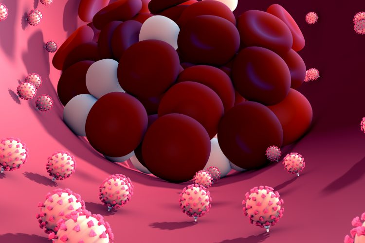 cartoon of a blood vessel with coronavirus particles attached to the lining of the vessel and a blood clot formed of red and white blood cells