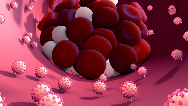 cartoon of a blood vessel with coronavirus particles attached to the lining of the vessel and a blood clot formed of red and white blood cells