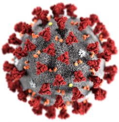 COVID-19-Coronavirus