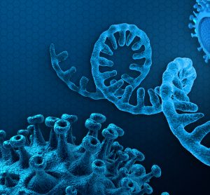 RNA strand in light blue surrounded by coronavirus particles in darker blue