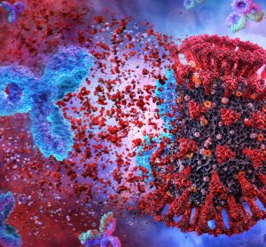 COVID-19 and antibodies
