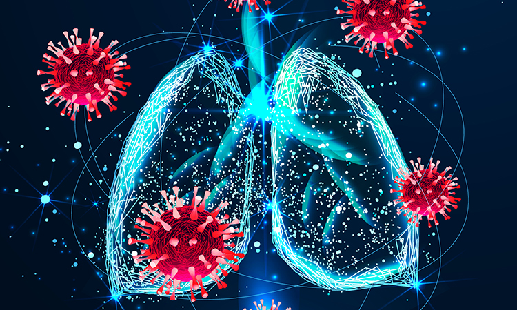 Outline of lungs and SARS-CoV-2 particles