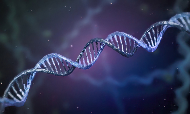 3d illustration of DNA