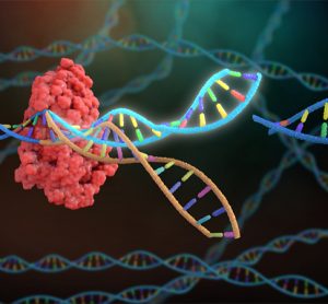 3D Rendering Crispr DNA Editing