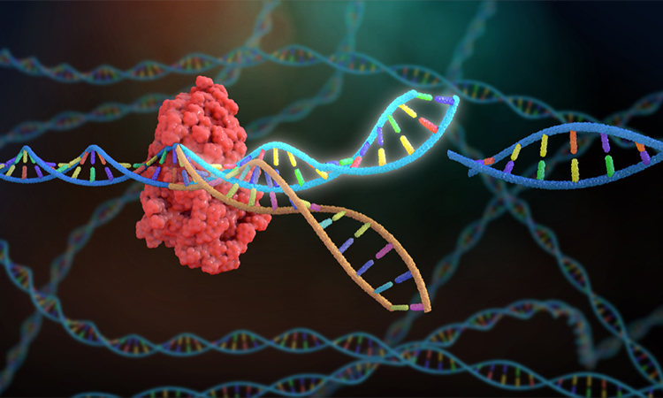 3D Rendering Crispr DNA Editing