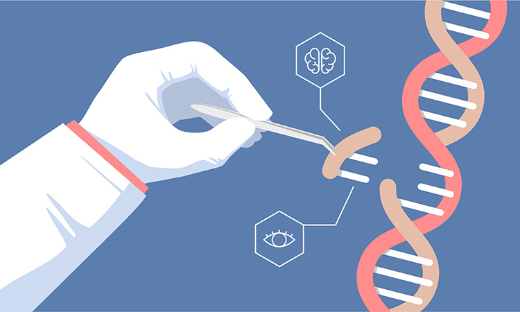 CRISPR gene editing