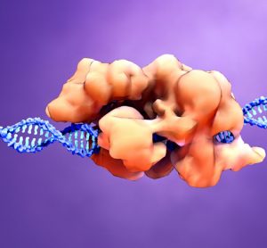 CRISPR
