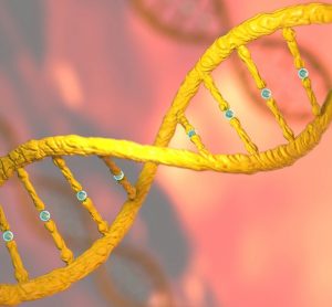 CRISPR
