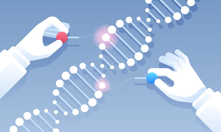 CRISPR gene editing