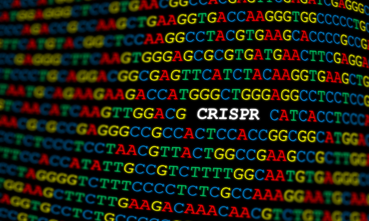 CRISPR gene drive
