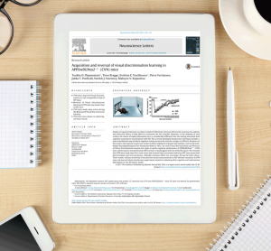 Paper: Acquisition and reversal of visual learning in CVN mice